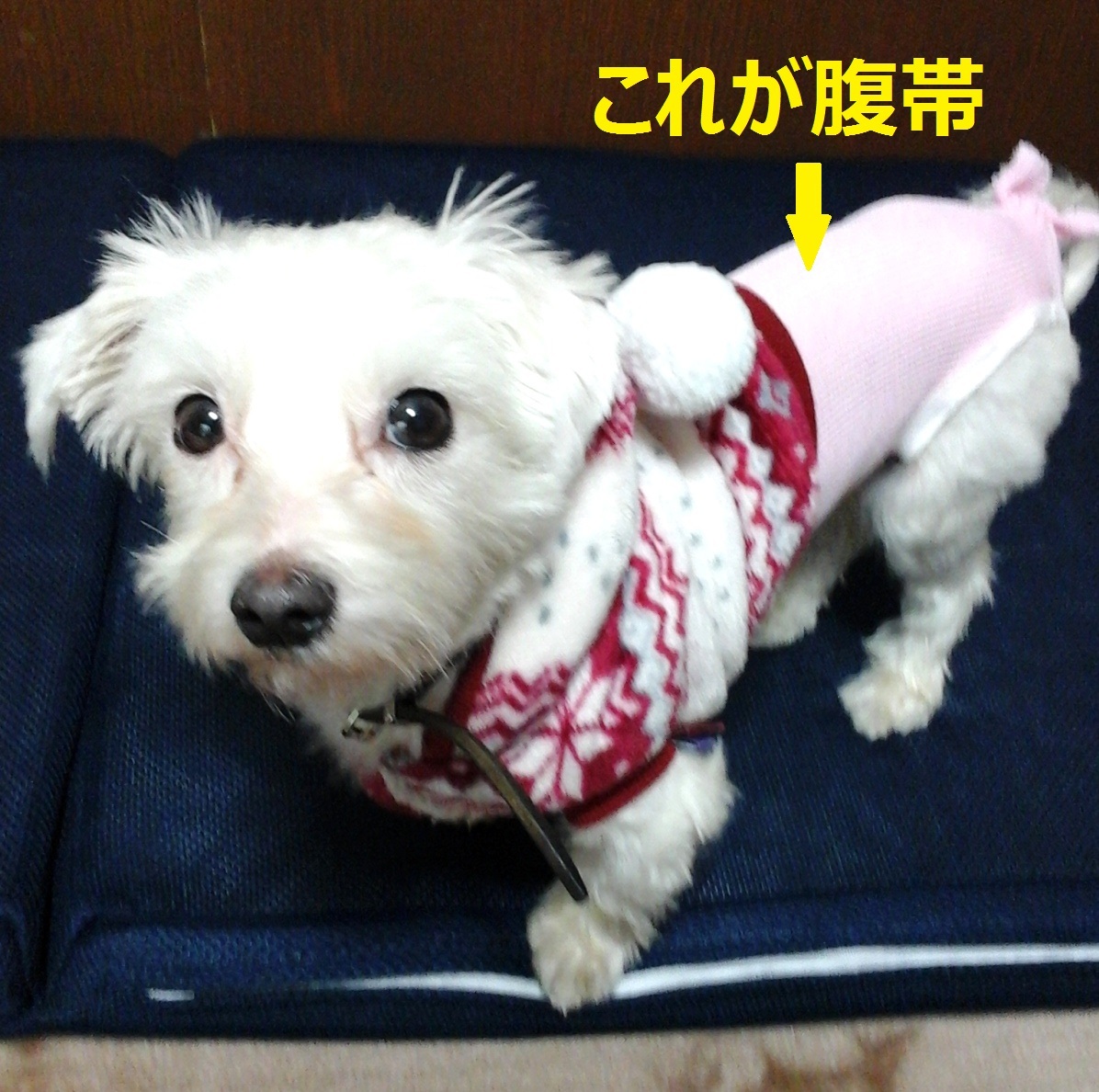 a0012531_15225032.jpg