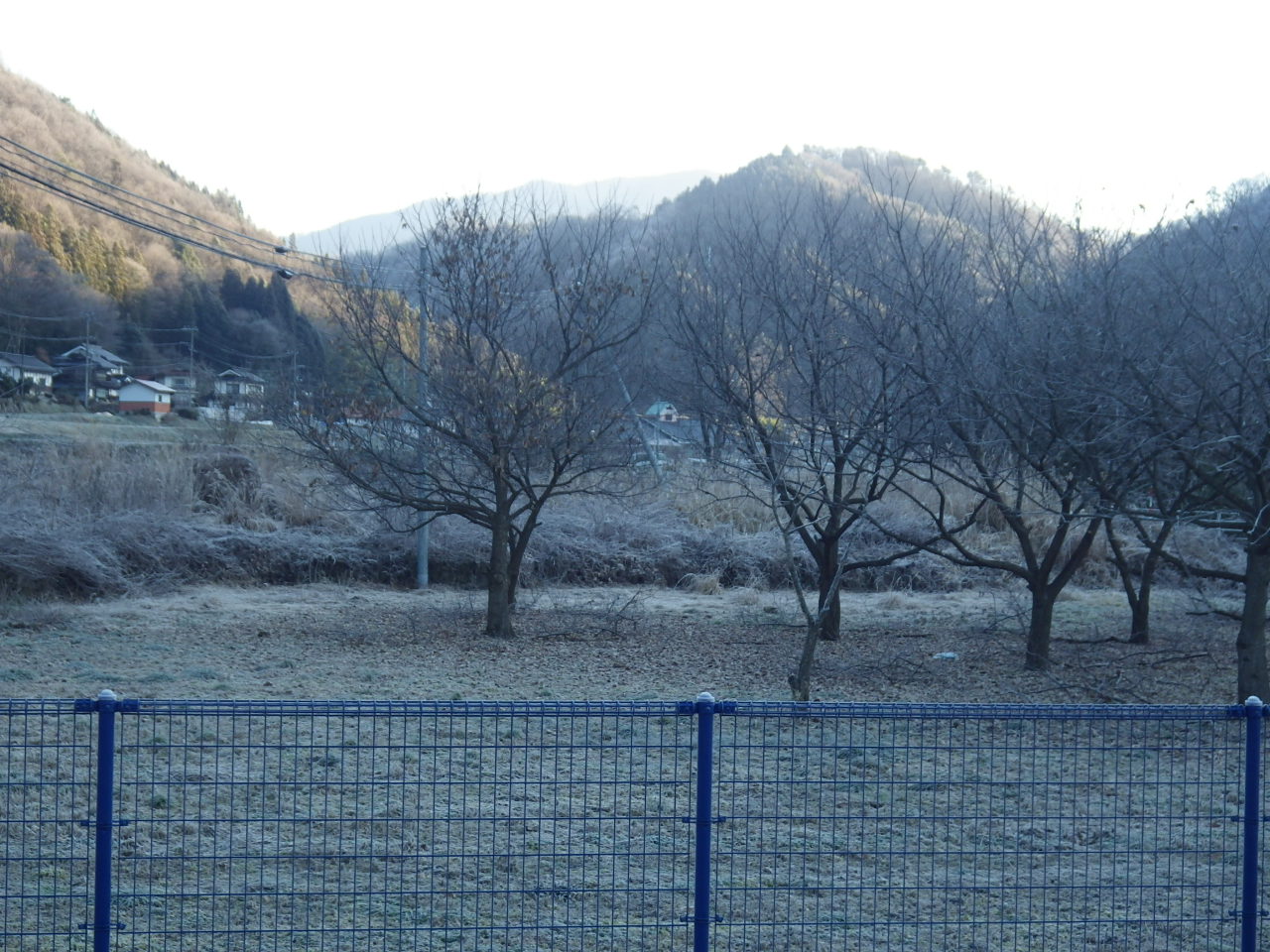 c0300035_98569.jpg
