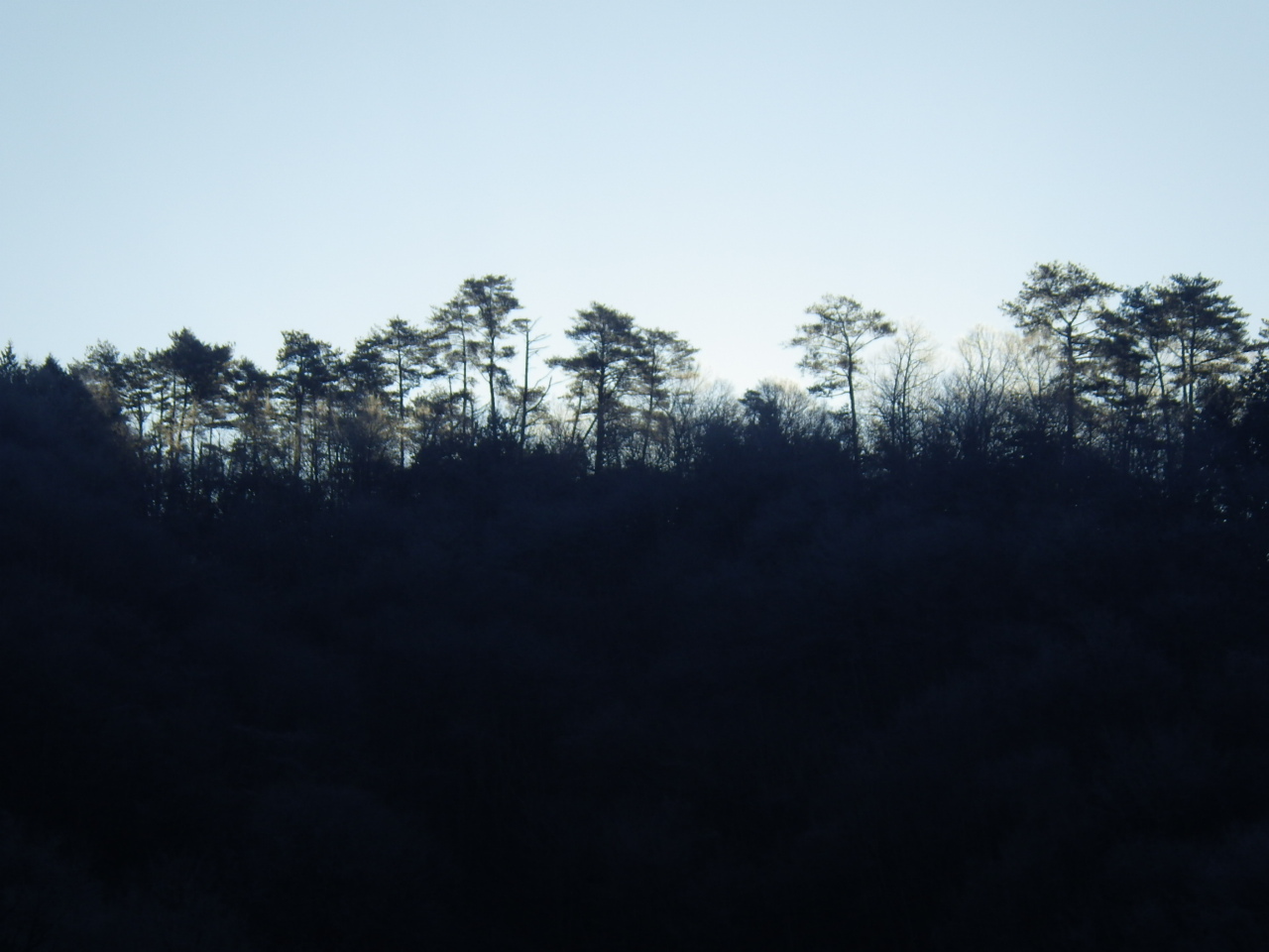 c0300035_991725.jpg