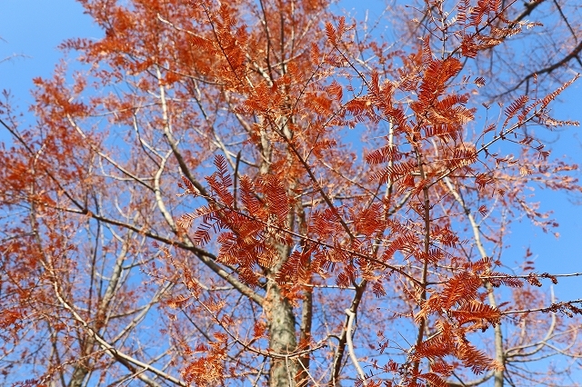 a0242438_18132901.jpg