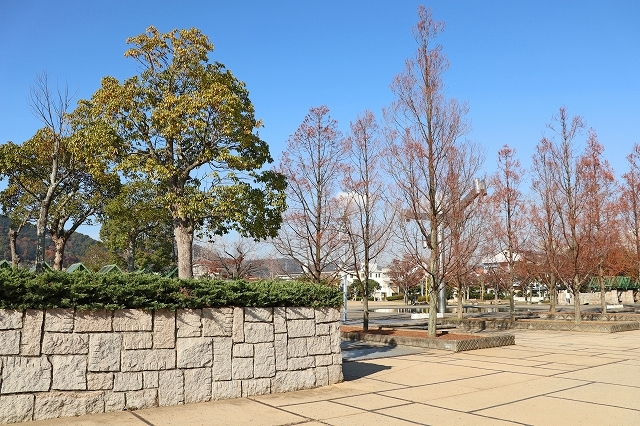 a0242438_18132918.jpg