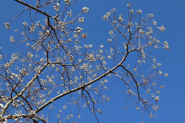a0242438_18133068.jpg