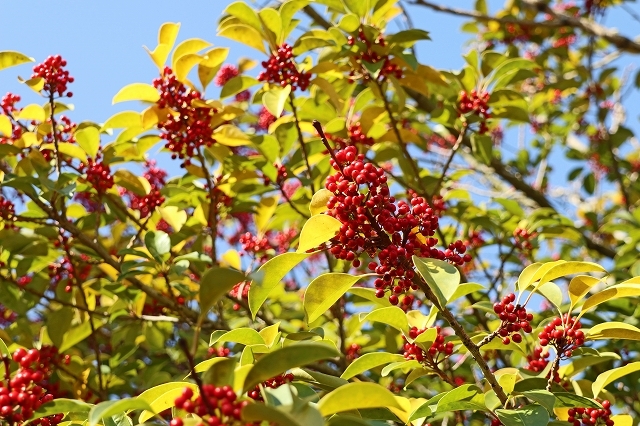 a0242438_18143820.jpg