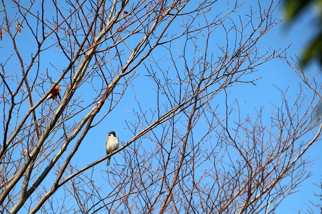 a0242438_18143900.jpg