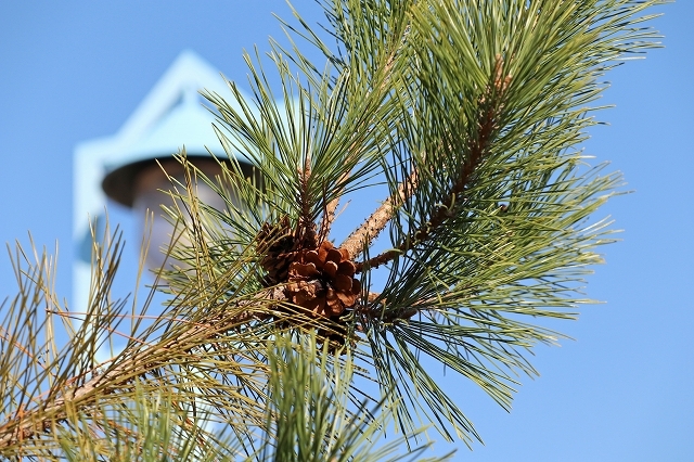 a0242438_18143905.jpg