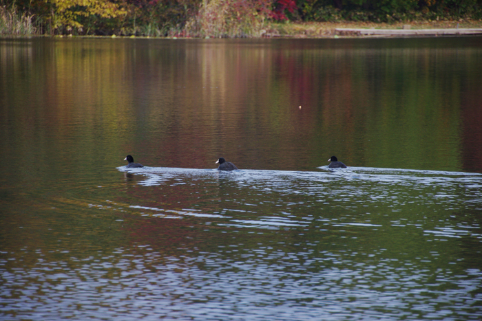 b0247838_22543678.jpg