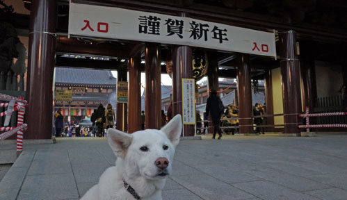 a0117039_1944201.jpg