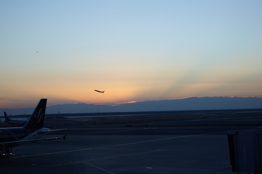 d0139939_19384358.jpg