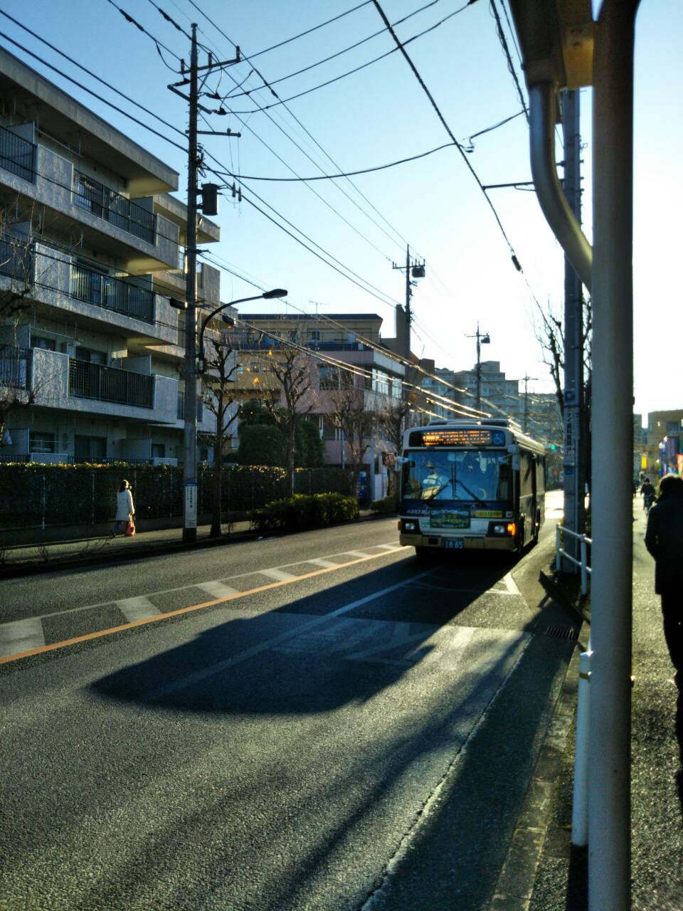 b0031140_1939632.jpg
