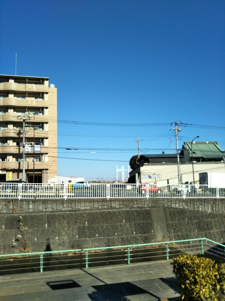 b0031140_20263898.jpg