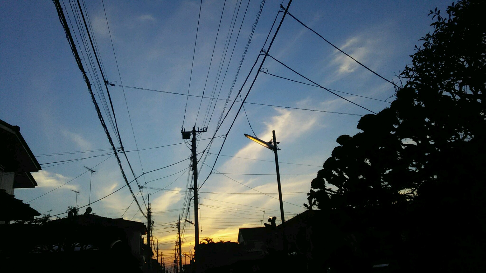 b0077451_20133835.jpg