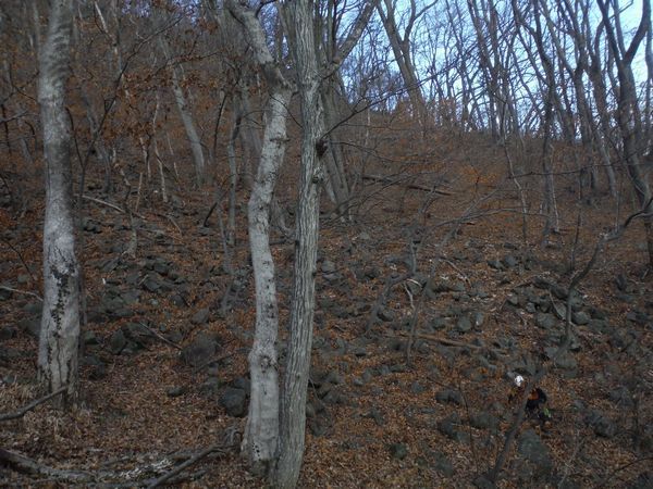 c0294658_22352990.jpg
