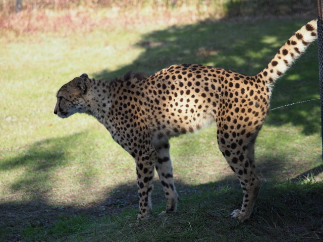 c0186760_20412166.jpg