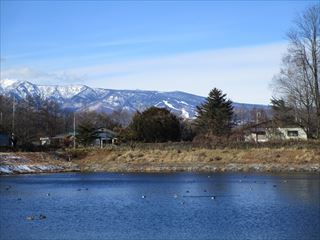 d0045362_10313457.jpg
