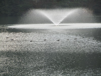 b0149071_1527284.jpg