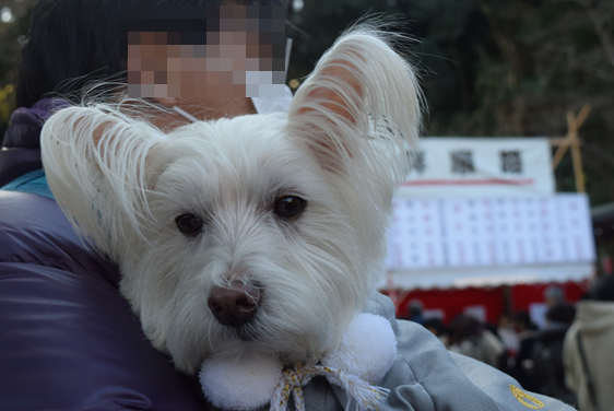 b0242873_22223293.png