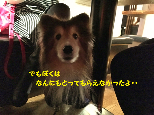 a0157174_2019499.png