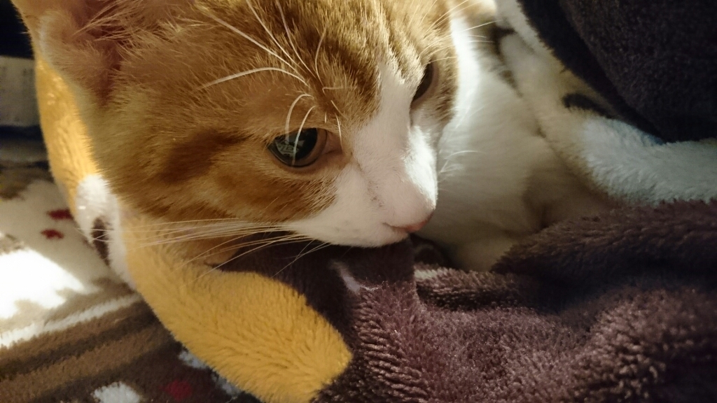 f0071477_20330837.jpg