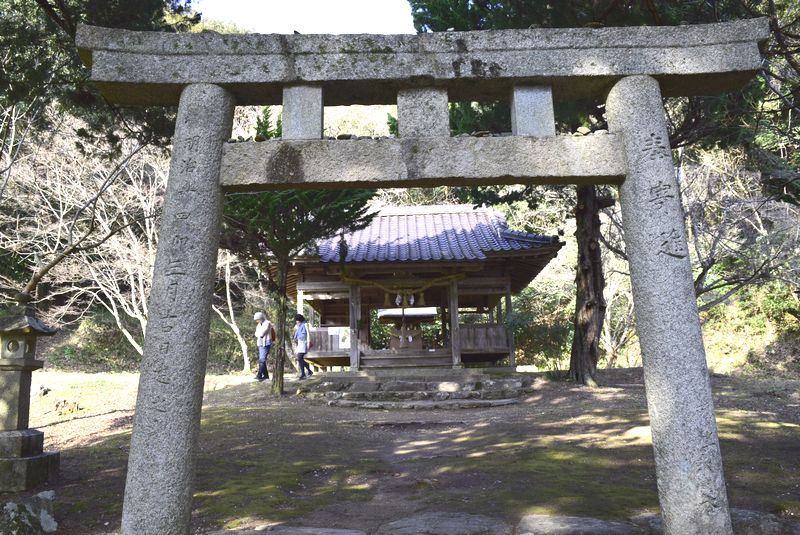 d0061579_939256.jpg