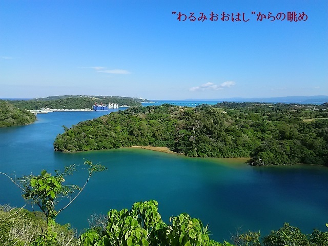 d0081485_11201341.jpg