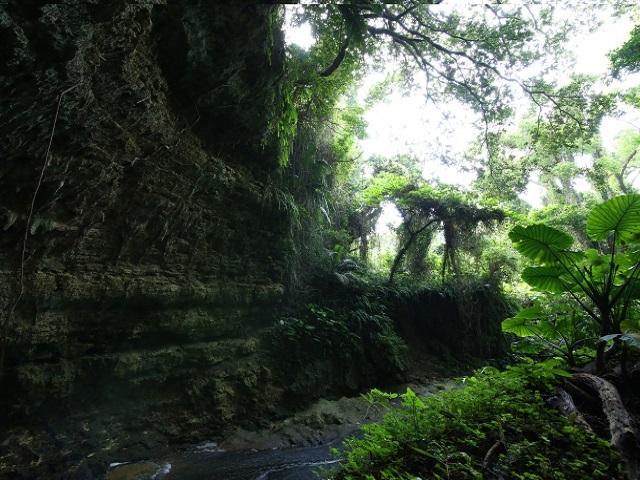 d0081485_11543387.jpg