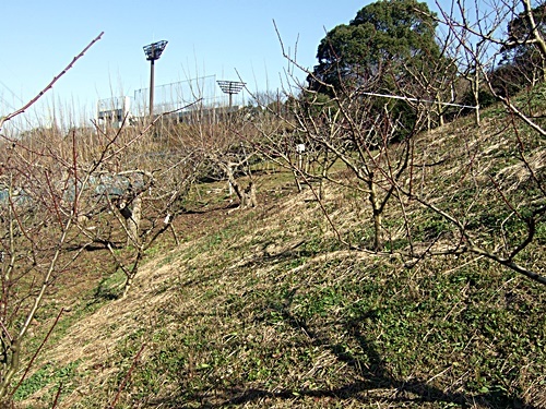 e0086885_10254361.jpg