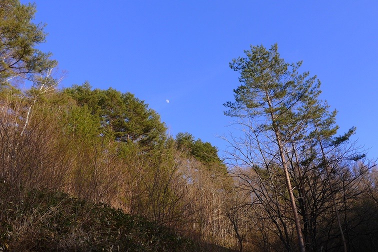 a0130586_1915610.jpg