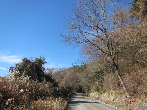 a0251786_15501419.jpg