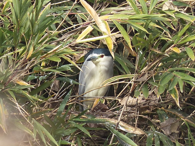 f0357487_23133564.jpg