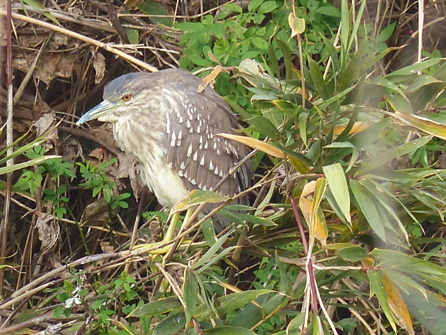 f0357487_2314151.jpg