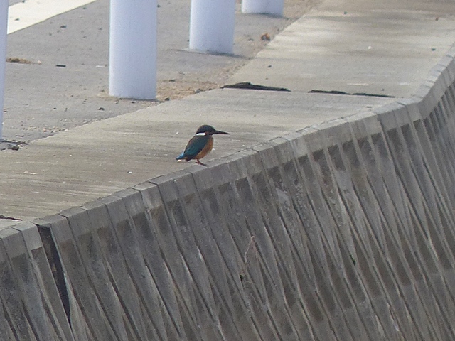 f0357487_23154550.jpg