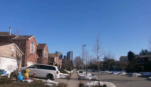 d0000995_2595056.jpg