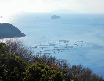 e0077899_825432.jpg