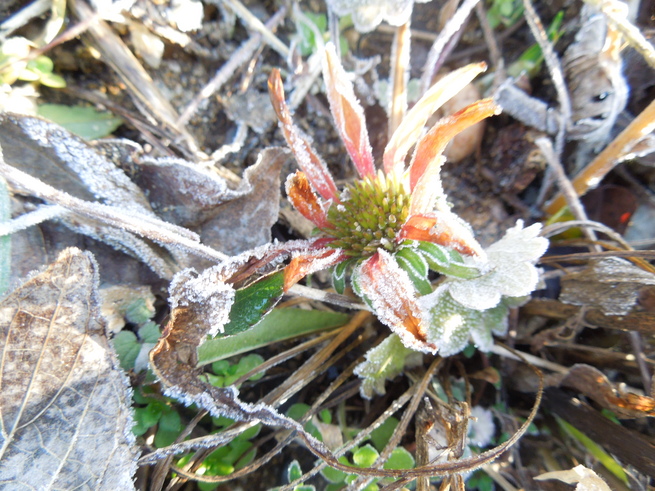 f0297809_8535014.jpg
