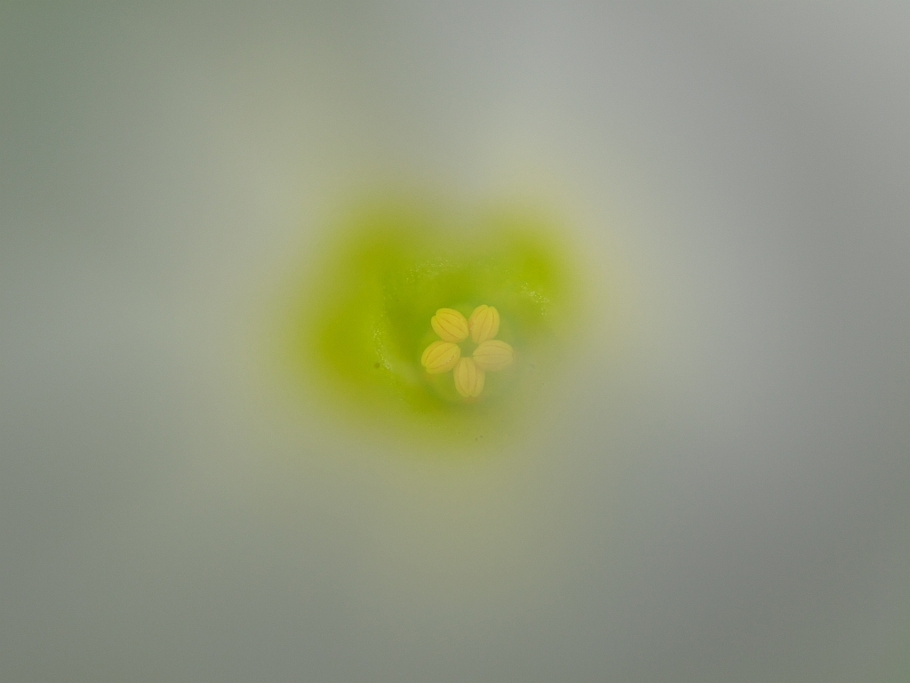 e0364711_17095726.jpg