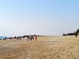 f0151628_17162302.jpg
