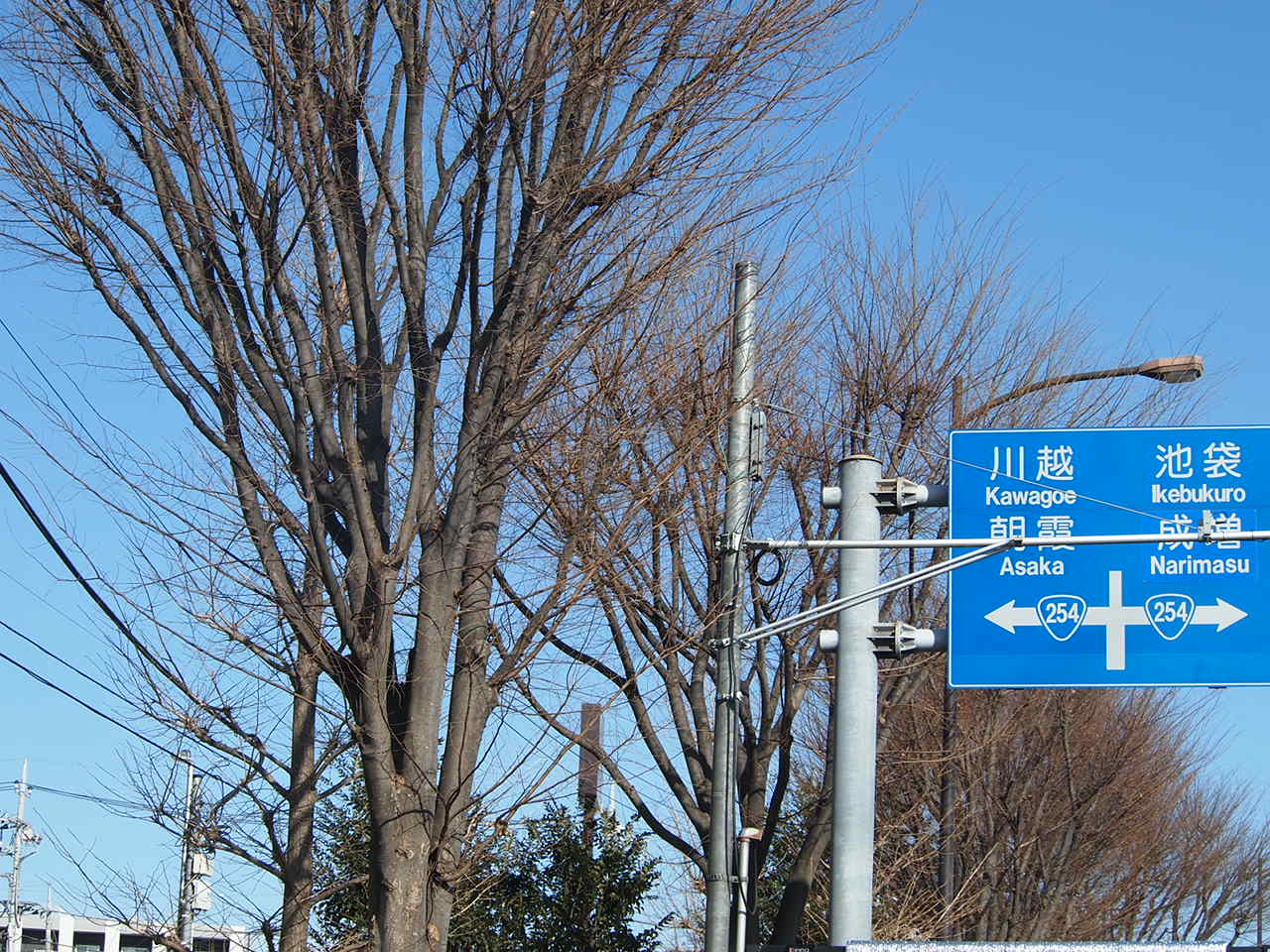 a0214329_15284294.jpg