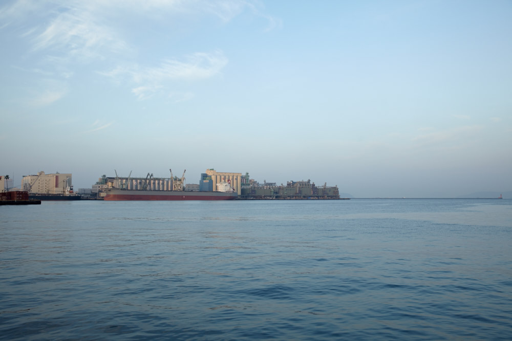 d0139939_1717637.jpg