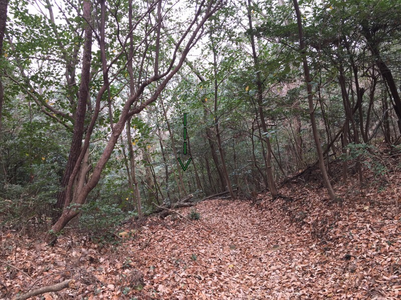 b0057140_22015077.jpg