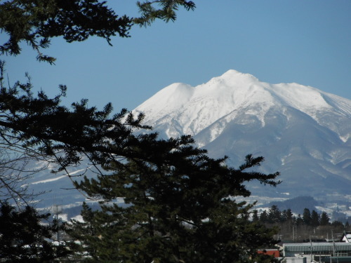 e0126241_13433345.jpg