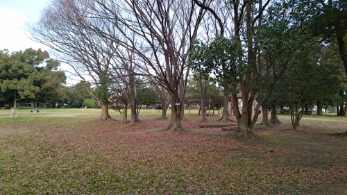 f0326946_14295781.jpg