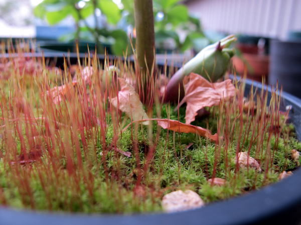 c0147952_09290745.jpg