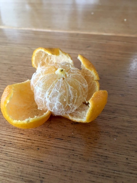 f0163561_09115537.jpg
