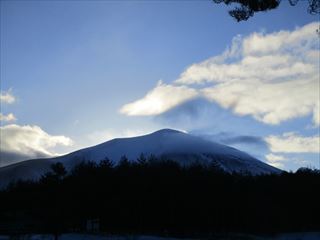 d0045362_1947818.jpg