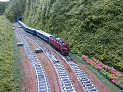 f0131165_20332976.jpg