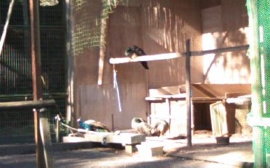 b0205694_11500057.jpg