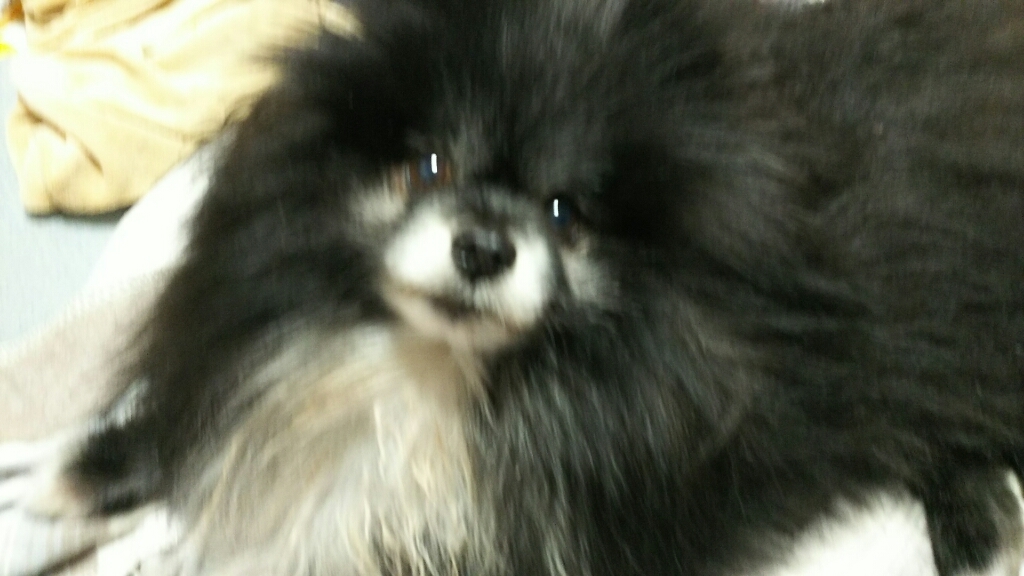 c0128896_11254852.jpg