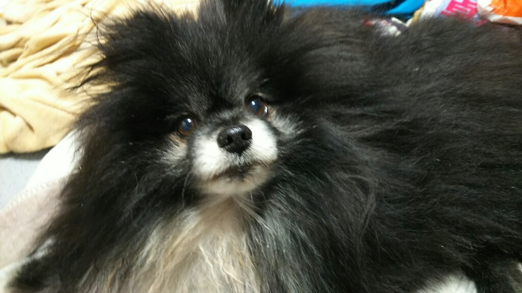 c0128896_11255260.jpg