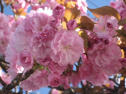 f0201297_09032874.jpg