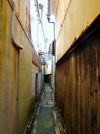e0077899_9564244.jpg